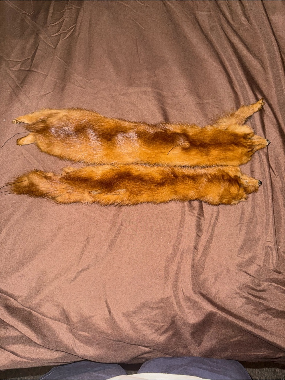 Vintage Red Fox Fur Stoles - Pair
